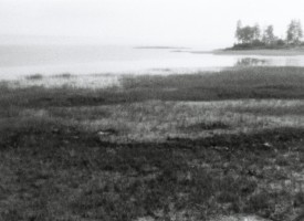 Insula Parva